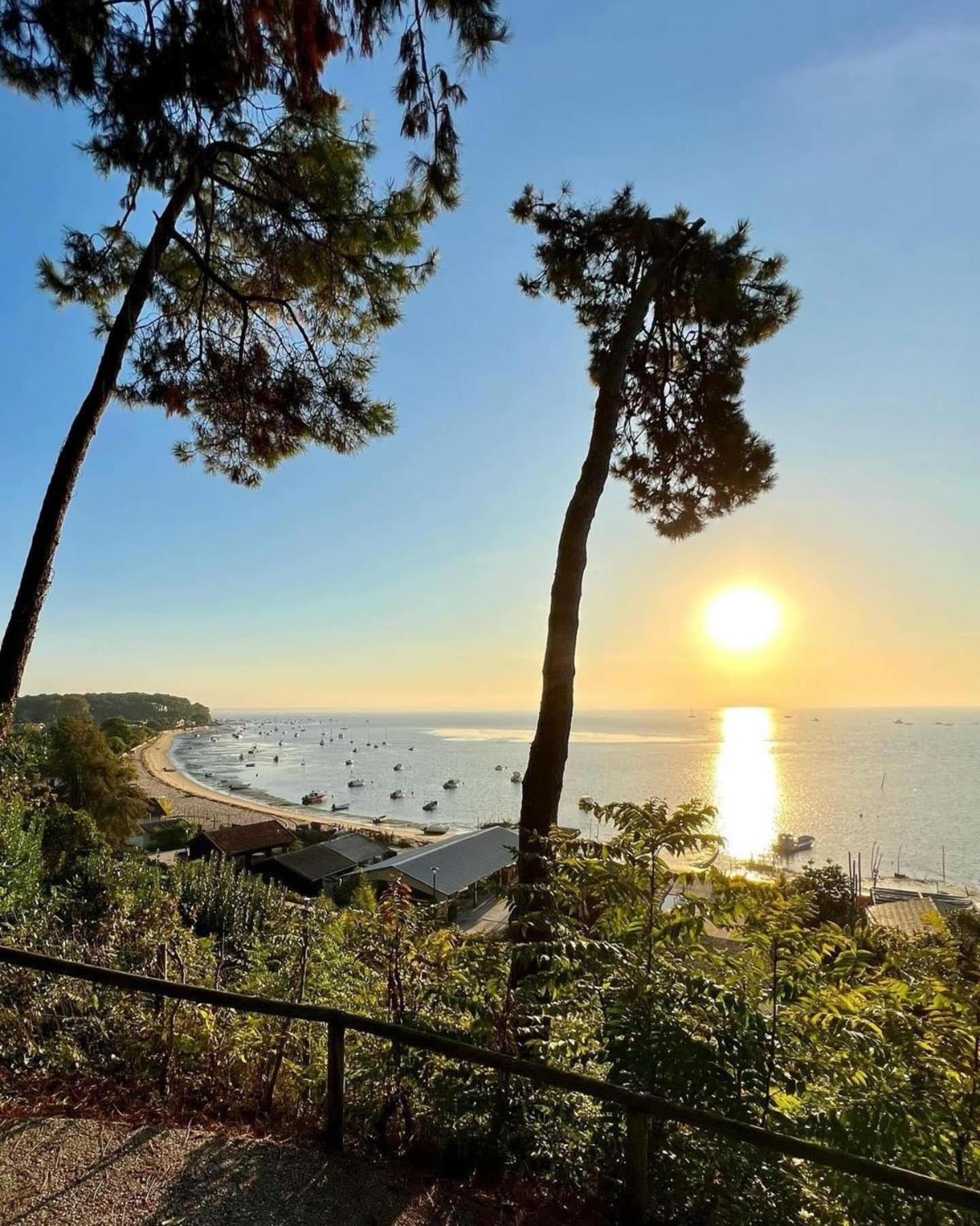 Cocon Entre Presqu'Ile Du Cap Ferret Et Plages Oceanes - Terrasse - 1 Velo Gratuit Ares Buitenkant foto
