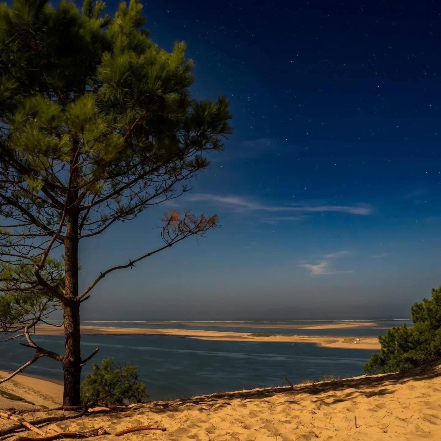 Cocon Entre Presqu'Ile Du Cap Ferret Et Plages Oceanes - Terrasse - 1 Velo Gratuit Ares Buitenkant foto